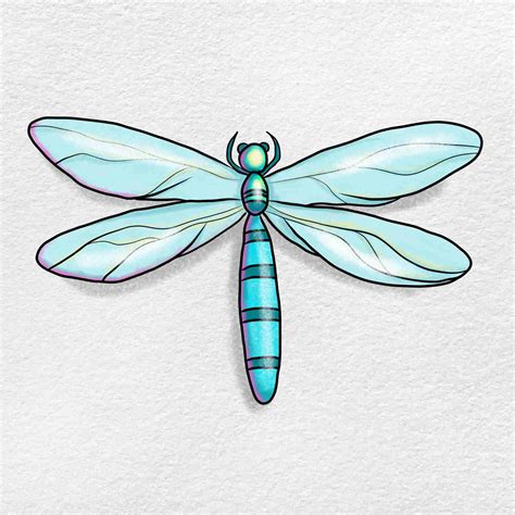 drawing a dragonfly