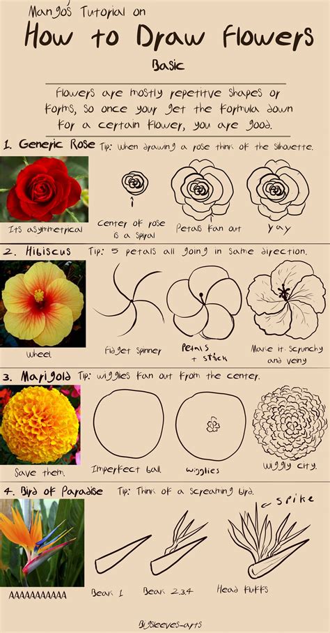 Drawing A Flower Tutorial