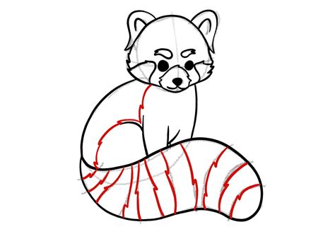 Red Panda Drawing. by ChibiVoltage on DeviantArt