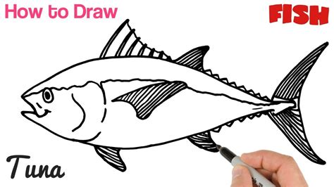 Drawing A Tuna