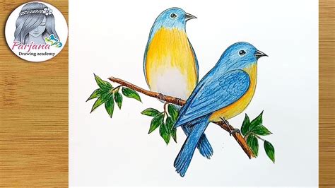 Drawing Blue Bird