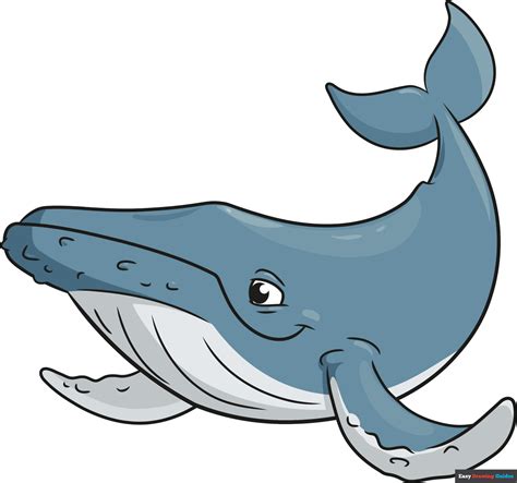 Drawing Cartoon Whale