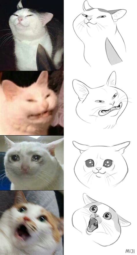 Drawing Cat Meme