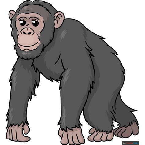 Drawing Chimpanzee