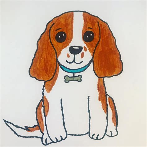 drawing dog
