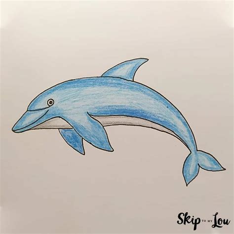 drawing dolphin