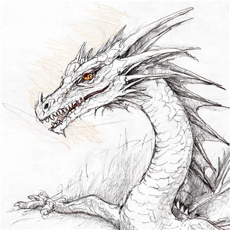 drawing dragon