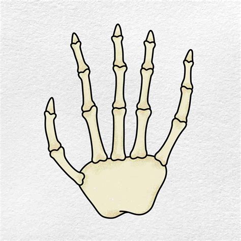 Drawing Hand Bones