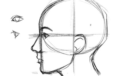 Drawing Head Profile