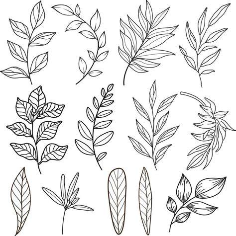 drawing ideas leaves