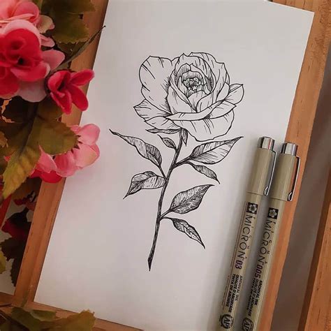 Drawing Ideas Of Roses