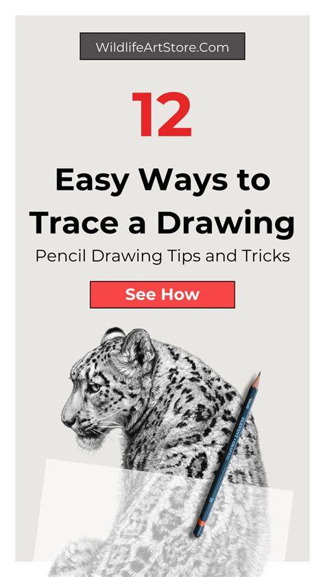 drawing ideas to trace