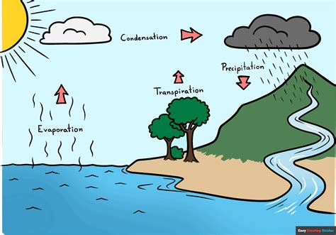 drawing of a complete water cycle