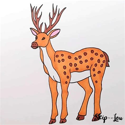 Deer Sketch Drawing at GetDrawings Free download