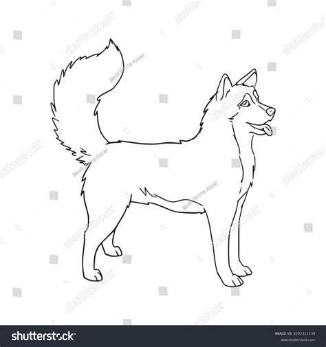 Drawing of a brown husky I did a few weeks ago husky