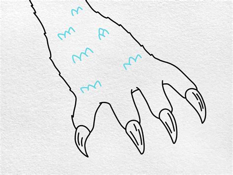 Drawing Of Dragon Claws