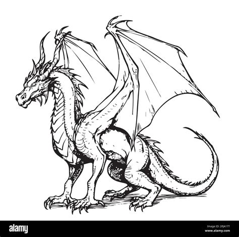 Drawing Of Dragon Sitting