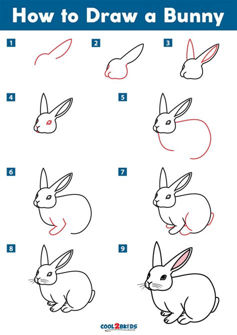 How to Draw a Bunny in a Few Easy Steps Easy Drawing Guides