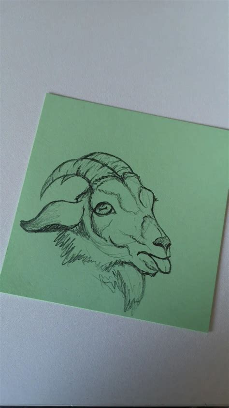 Drawing On Green Paper