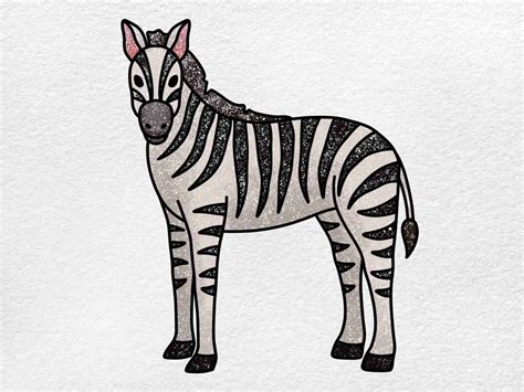 drawing zebra