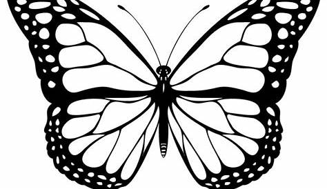 Butterfly Drawings With Color Images & Pictures - Becuo