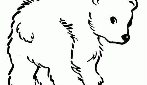 Bear coloring drawing