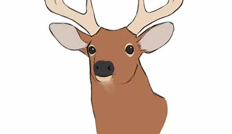 Easy Deer Head Drawing at GetDrawings | Free download