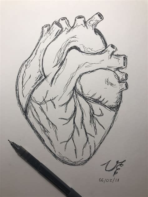 drawings heart