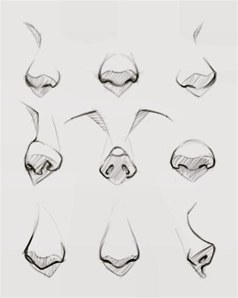 drawings nose