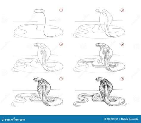 Drawing Cobra Snake by mr7jb on DeviantArt
