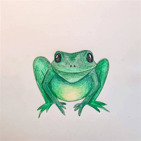 Happy Frog Drawing by Sipporah Art and Illustration