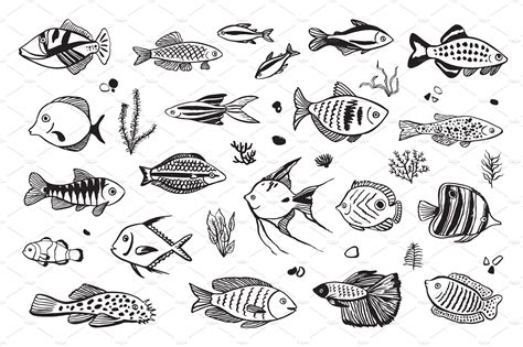 drawings of small fish
