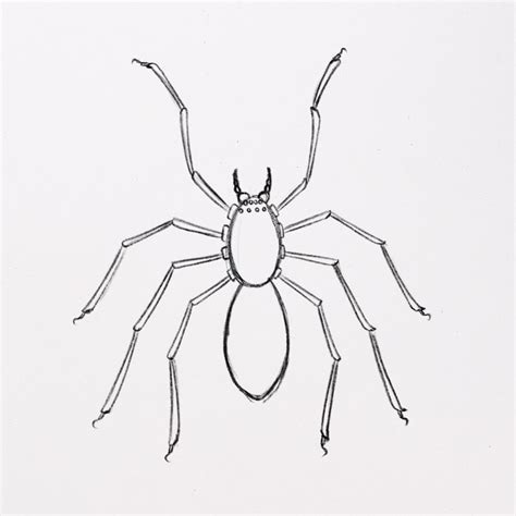Drawings Of Spiders