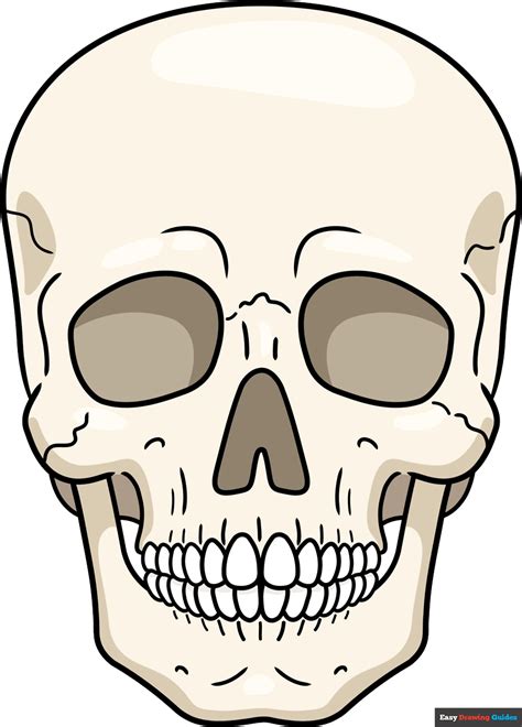 drawings skull