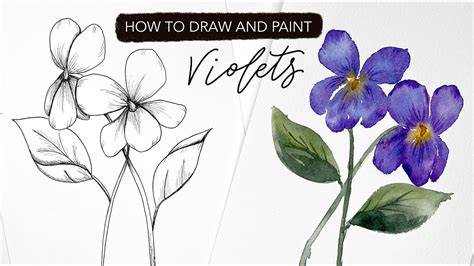 drawings violets flowers