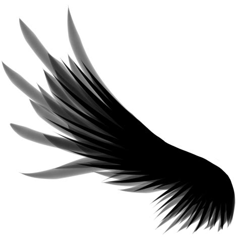 drawn wing png silhouette