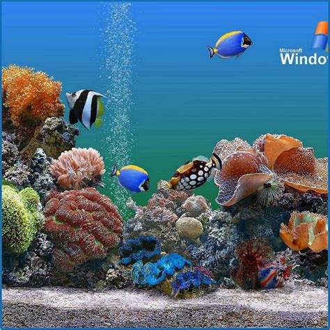 Dream aquarium ocean screensaver free download full version for windows