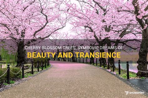 Dream Meaning Cherry Tree