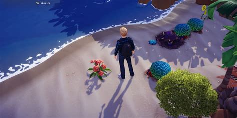 Dreamlight Valley How Often Do Scallops Spawn