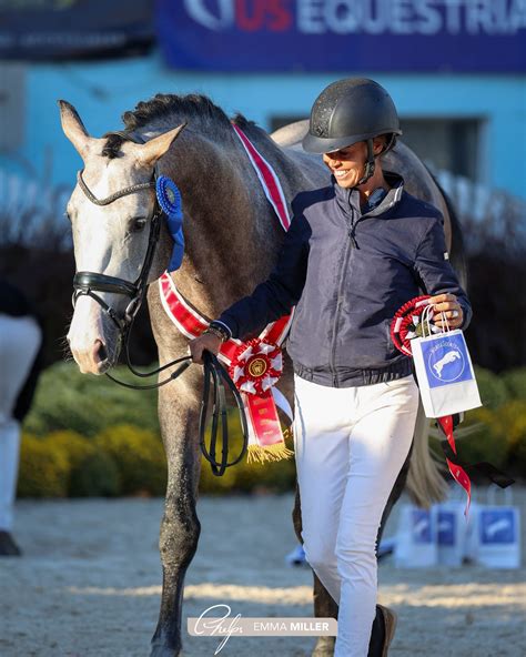 dressage at devon breed show