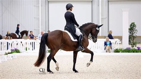 dressage shows in texas