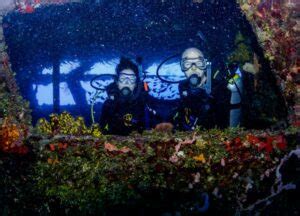 Dressel Divers Prices