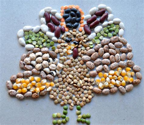 Dried Bean Art