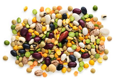 Dried Beans During Pregnancy
