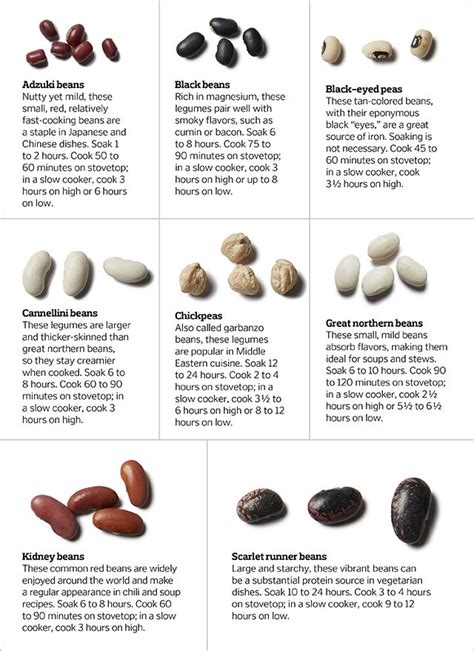 Dried Beans Identification