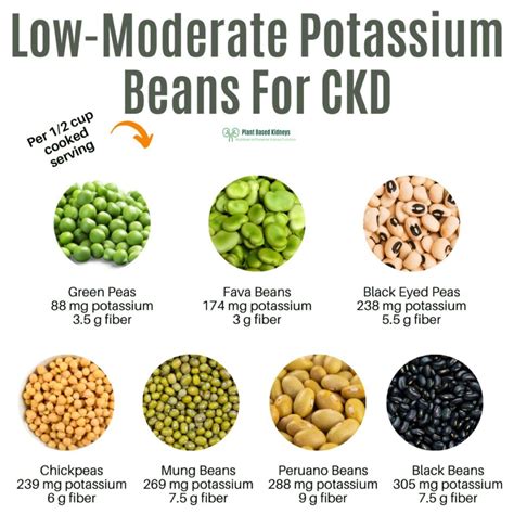 Dried Beans Low In Potassium