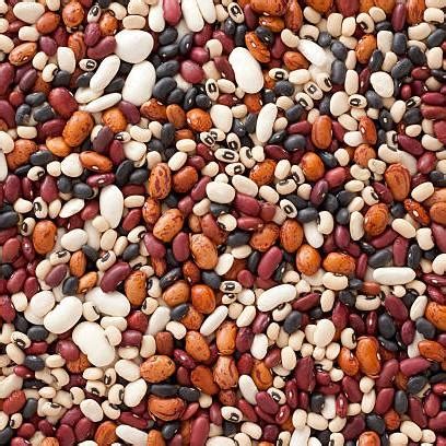 Dried Beans Nz
