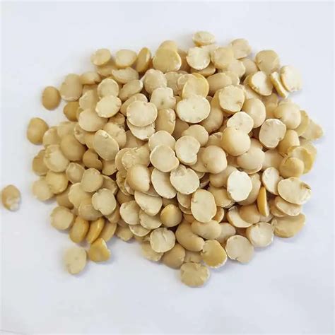 Dried Beans Suppliers