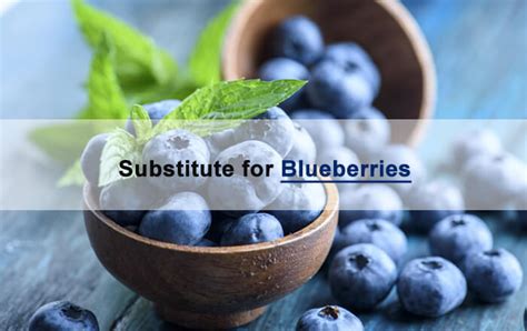 Dried Blueberries Substitute