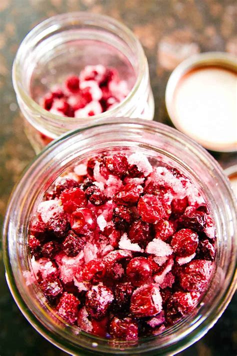 Dried Cranberries Diy